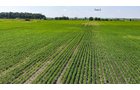 Property photo 24 - LAND AUCTION - 1,803.33+/-ACRES OFFERED IN 18 TRACTS IN KOSCIUSKO AND ELKHART COUNTY, INDIANA