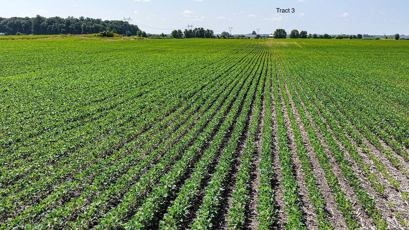 Property photo 25 - LAND AUCTION - 1,803.33+/-ACRES OFFERED IN 18 TRACTS IN KOSCIUSKO AND ELKHART COUNTY, INDIANA