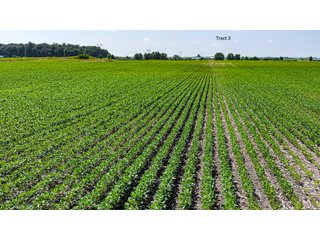 Property photo 25 - LAND AUCTION - 1,803.33+/-ACRES OFFERED IN 18 TRACTS IN KOSCIUSKO AND ELKHART COUNTY, INDIANA