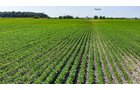Property photo 25 - LAND AUCTION - 1,803.33+/-ACRES OFFERED IN 18 TRACTS IN KOSCIUSKO AND ELKHART COUNTY, INDIANA