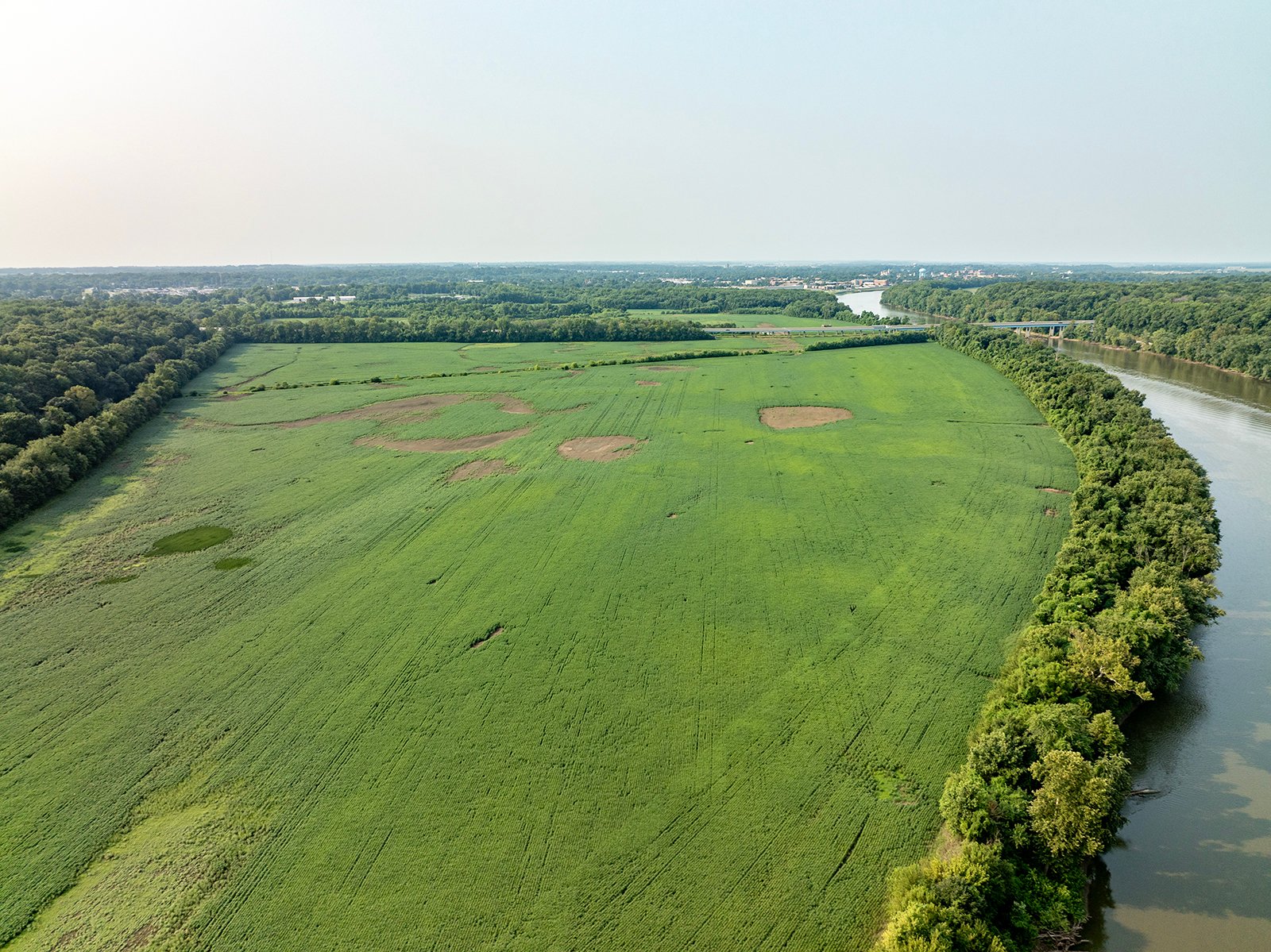 Property photo 24 - LAND AUCTION - 331+/-ACRES OFFERED IN 3 TRACTS IN KNOX COUNTY, INDIANA