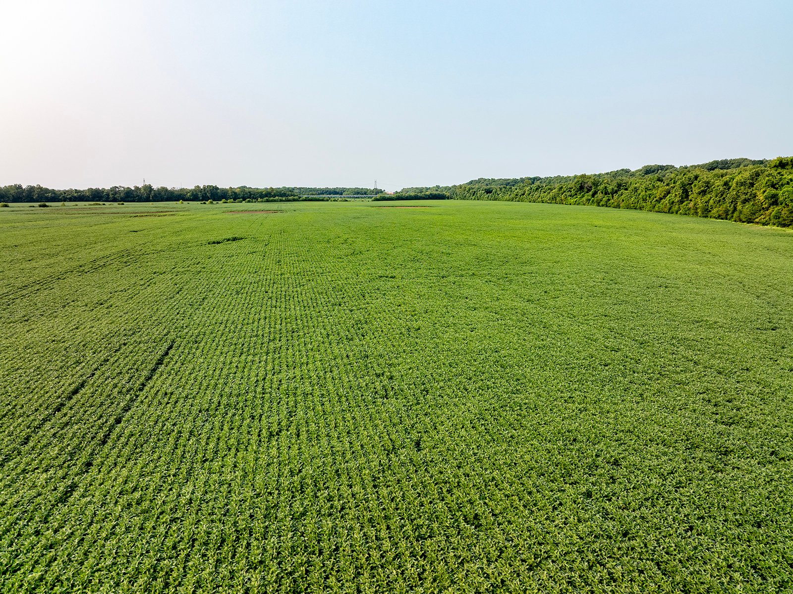 Property photo 26 - LAND AUCTION - 331+/-ACRES OFFERED IN 3 TRACTS IN KNOX COUNTY, INDIANA