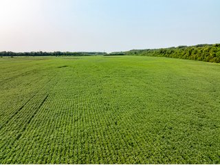 Property photo 26 - LAND AUCTION - 331+/-ACRES OFFERED IN 3 TRACTS IN KNOX COUNTY, INDIANA