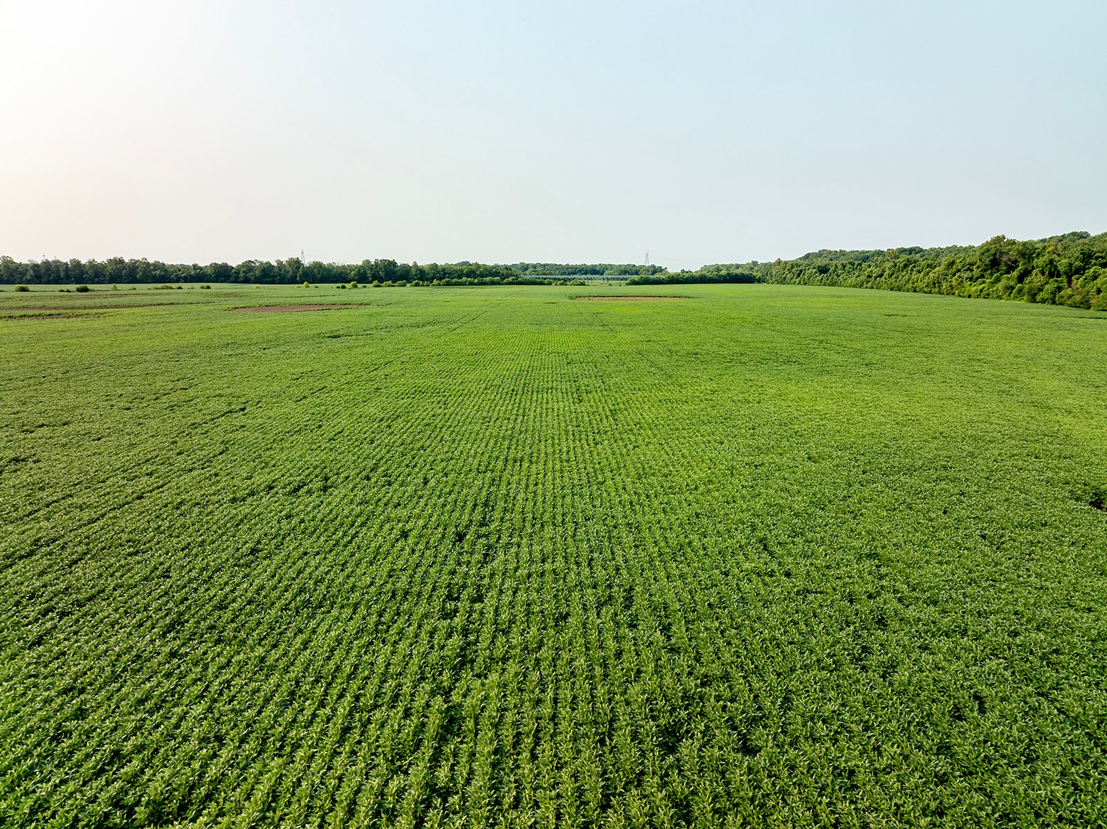 Property photo 27 - LAND AUCTION - 331+/-ACRES OFFERED IN 3 TRACTS IN KNOX COUNTY, INDIANA