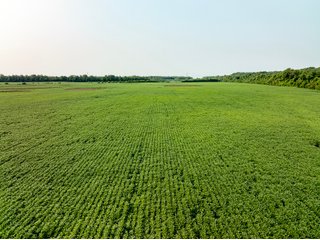 Property photo 27 - LAND AUCTION - 331+/-ACRES OFFERED IN 3 TRACTS IN KNOX COUNTY, INDIANA