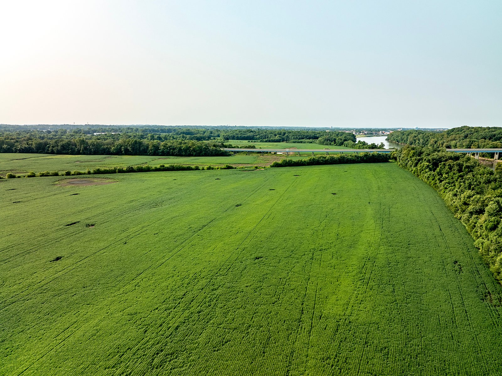 Property photo 28 - LAND AUCTION - 331+/-ACRES OFFERED IN 3 TRACTS IN KNOX COUNTY, INDIANA