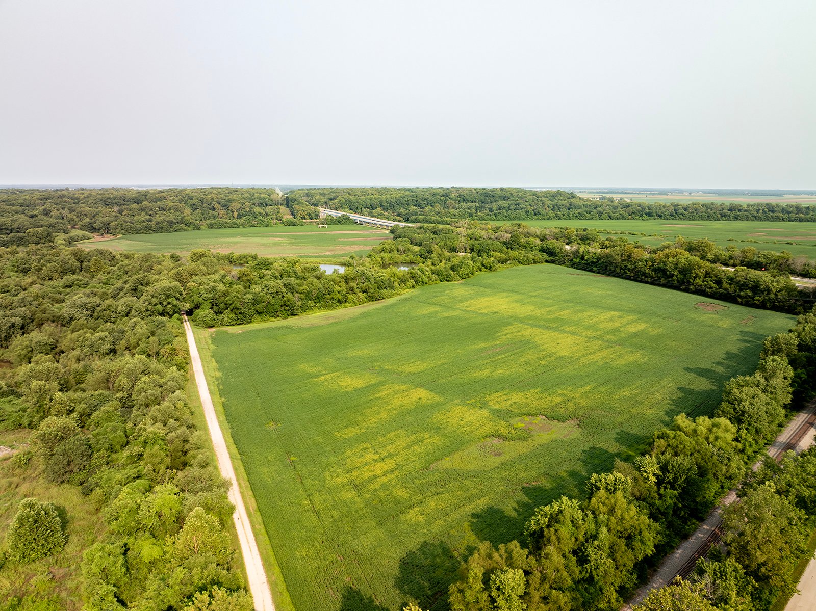 Property photo 3 - LAND AUCTION - 331+/-ACRES OFFERED IN 3 TRACTS IN KNOX COUNTY, INDIANA