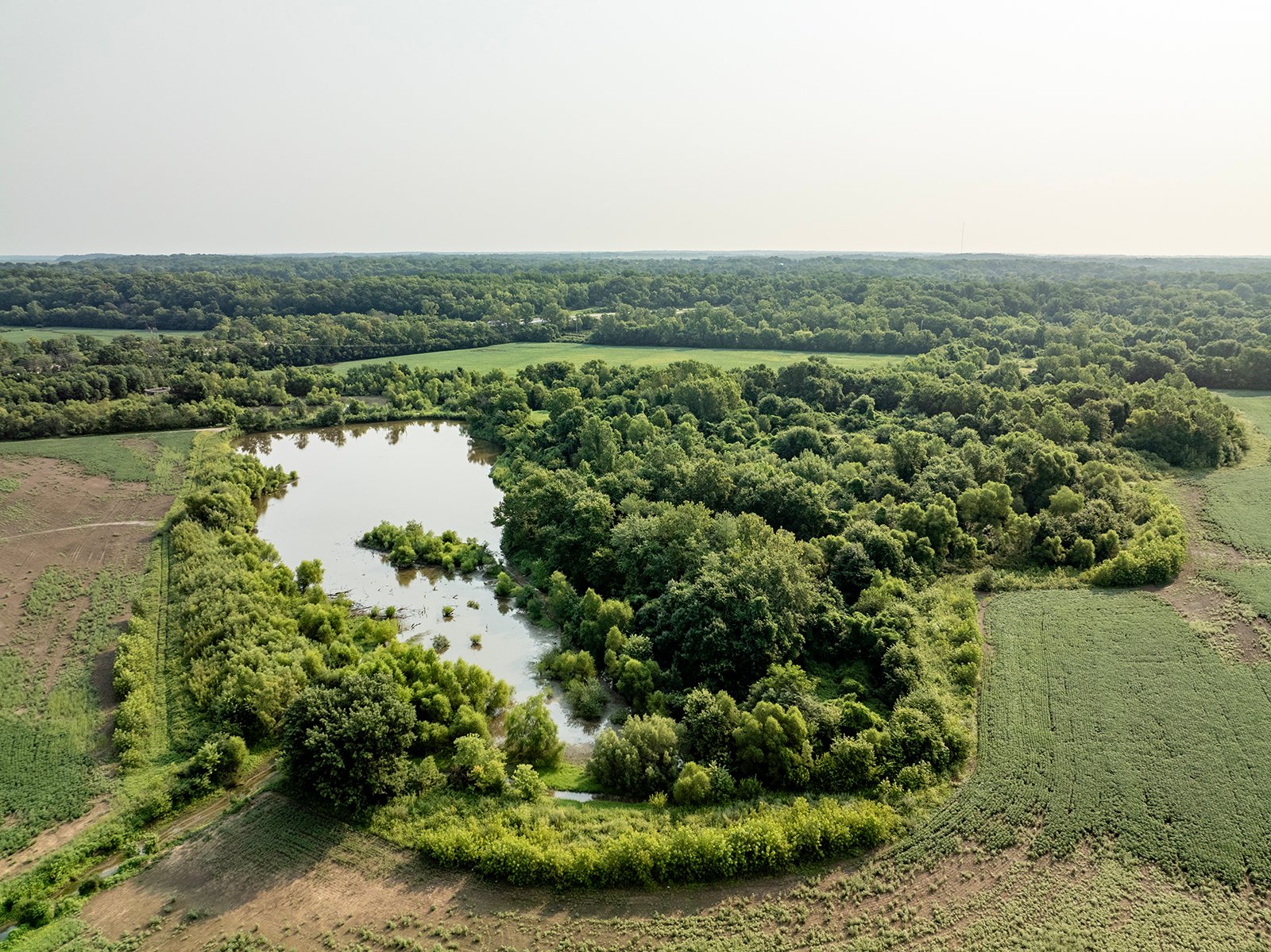 Property photo 38 - LAND AUCTION - 331+/-ACRES OFFERED IN 3 TRACTS IN KNOX COUNTY, INDIANA