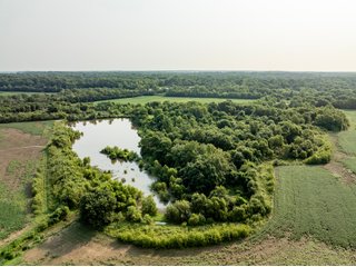 Property photo 38 - LAND AUCTION - 331+/-ACRES OFFERED IN 3 TRACTS IN KNOX COUNTY, INDIANA