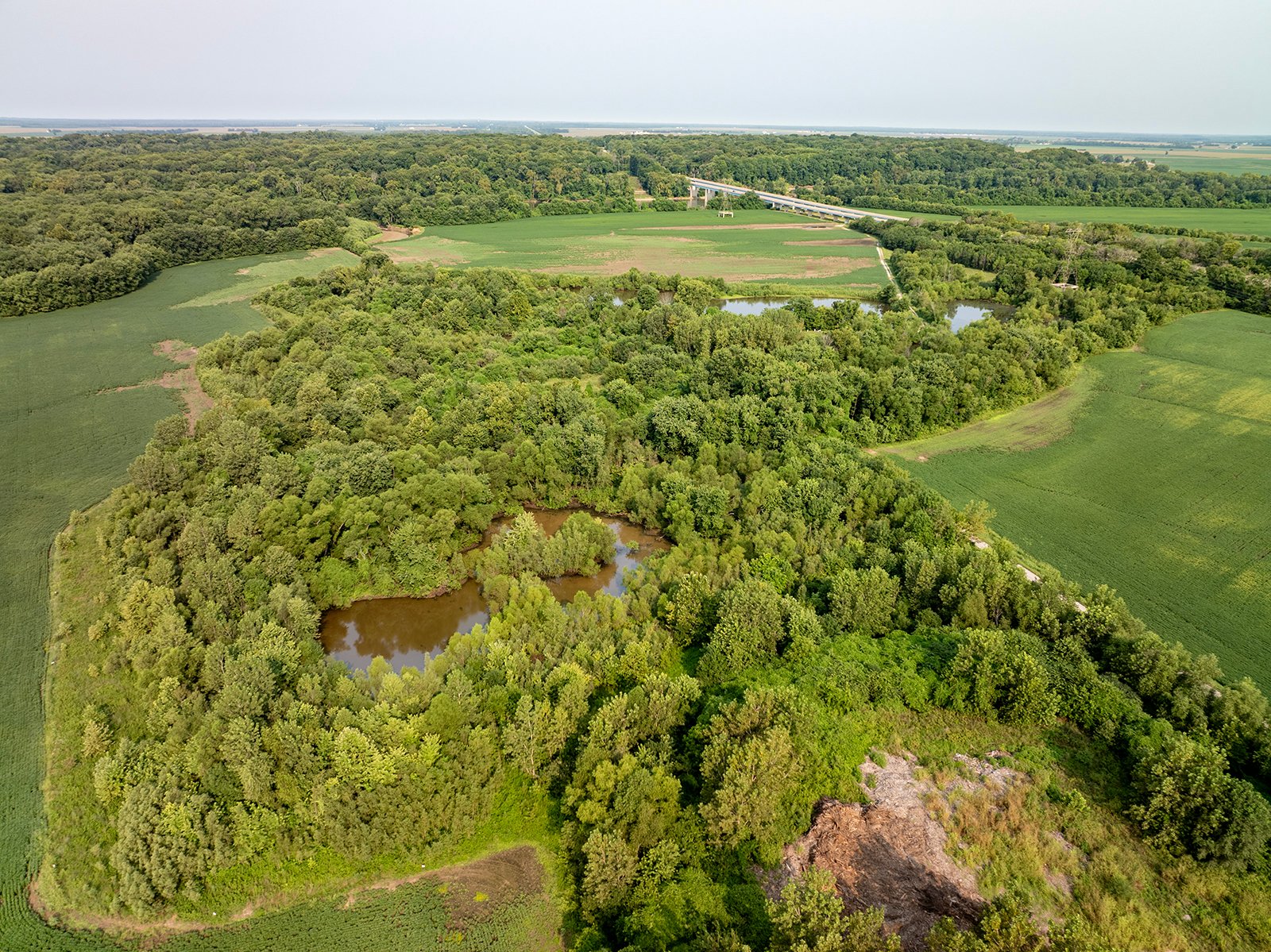 Property photo 29 - LAND AUCTION - 331+/-ACRES OFFERED IN 3 TRACTS IN KNOX COUNTY, INDIANA