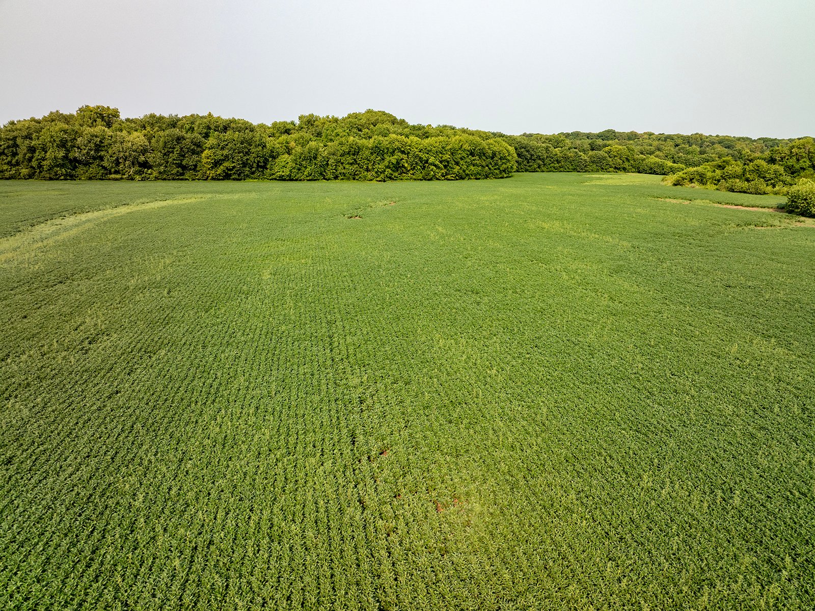 Property photo 2 - LAND AUCTION - 331+/-ACRES OFFERED IN 3 TRACTS IN KNOX COUNTY, INDIANA