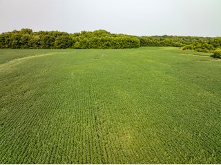 Property photo 2 - LAND AUCTION - 331+/-ACRES OFFERED IN 3 TRACTS IN KNOX COUNTY, INDIANA