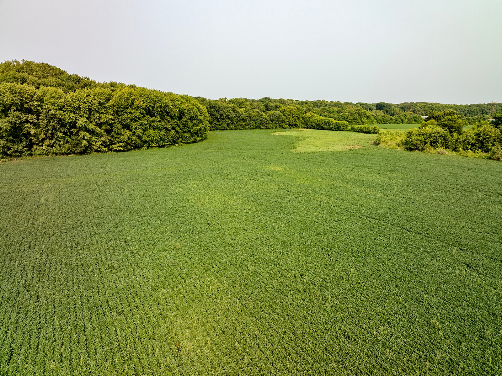 Property photo 7 - LAND AUCTION - 331+/-ACRES OFFERED IN 3 TRACTS IN KNOX COUNTY, INDIANA