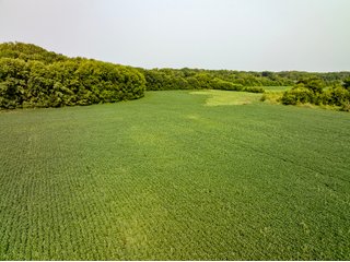 Property photo 7 - LAND AUCTION - 331+/-ACRES OFFERED IN 3 TRACTS IN KNOX COUNTY, INDIANA
