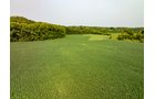 Property photo 7 - LAND AUCTION - 331+/-ACRES OFFERED IN 3 TRACTS IN KNOX COUNTY, INDIANA