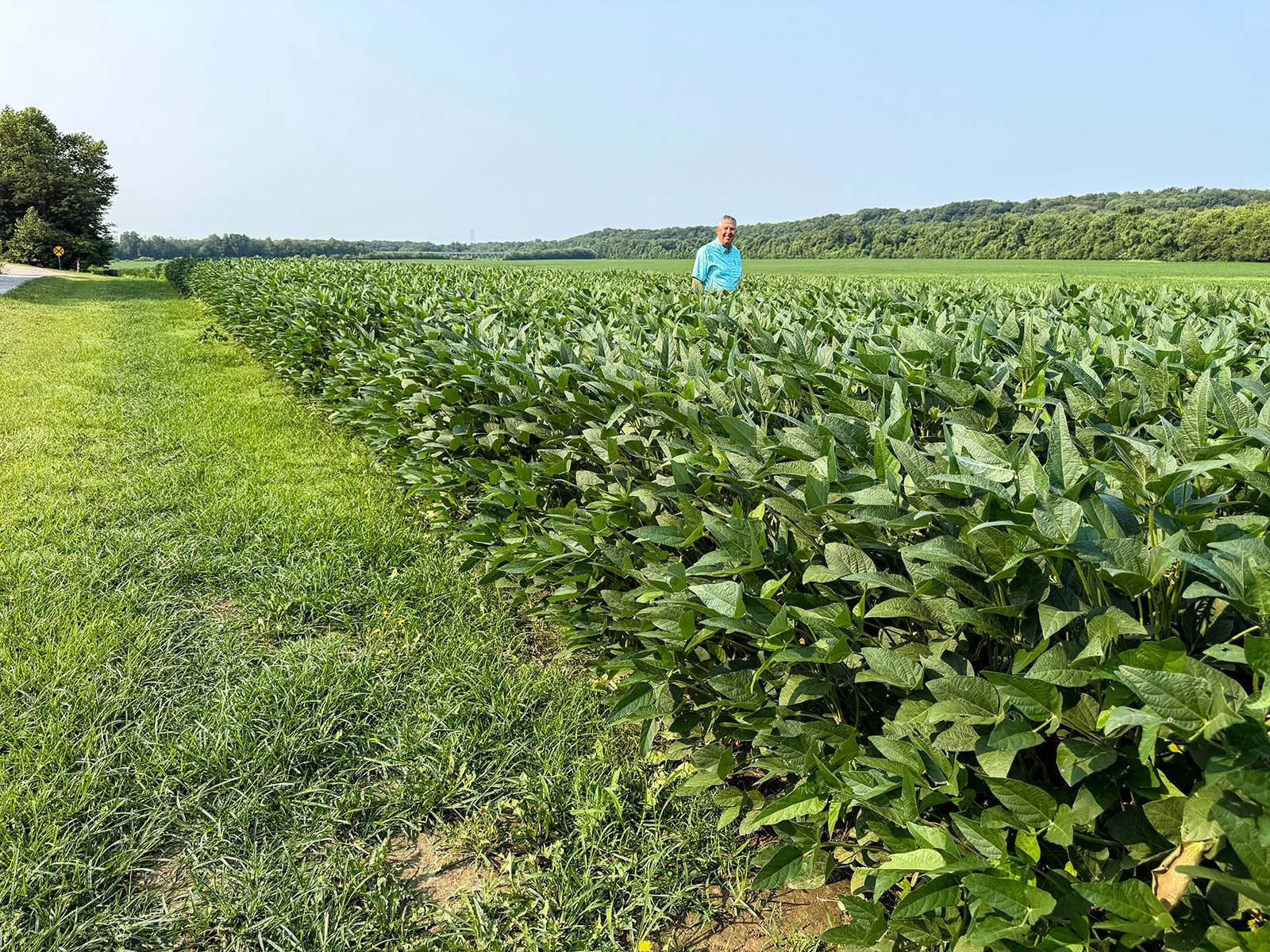 Property photo 16 - LAND AUCTION - 331+/-ACRES OFFERED IN 3 TRACTS IN KNOX COUNTY, INDIANA