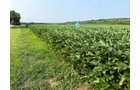 Property photo 16 - LAND AUCTION - 331+/-ACRES OFFERED IN 3 TRACTS IN KNOX COUNTY, INDIANA