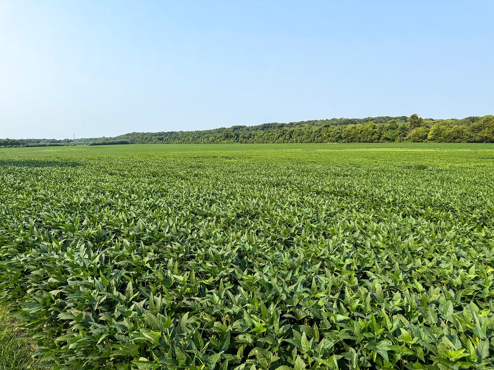 Property photo 20 - LAND AUCTION - 331+/-ACRES OFFERED IN 3 TRACTS IN KNOX COUNTY, INDIANA