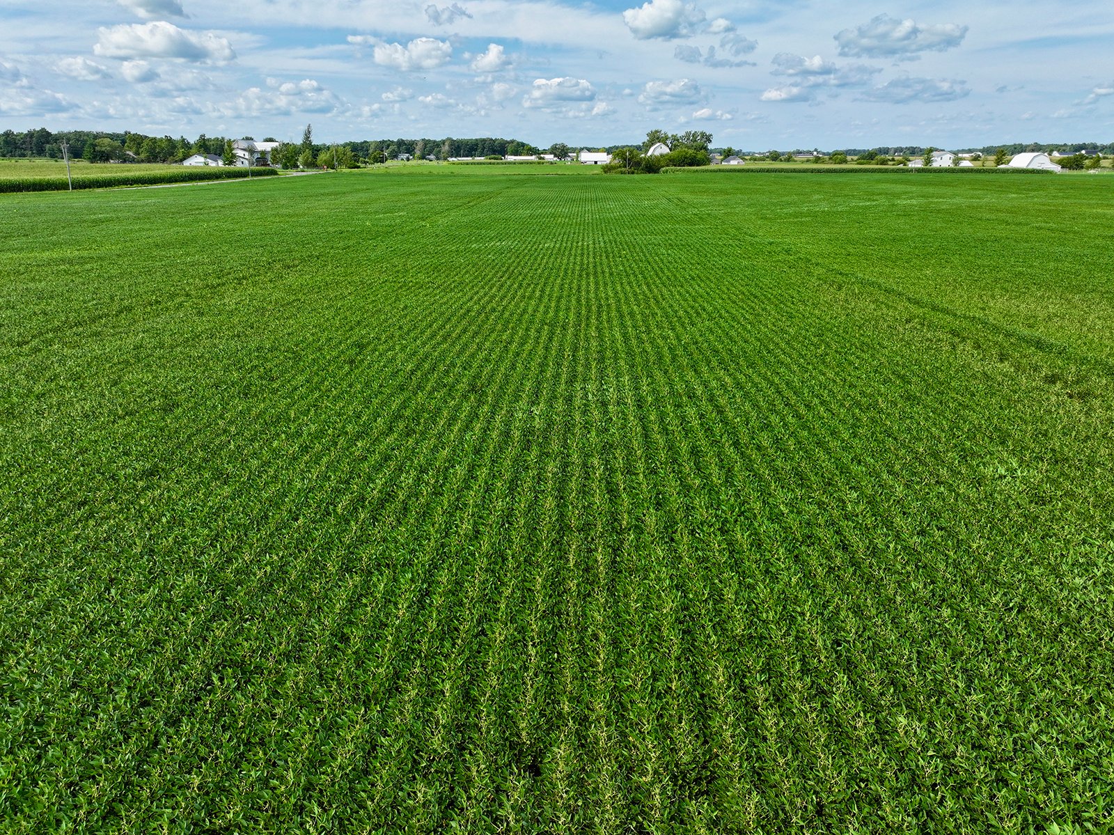 Property photo 1 - FARMLAND AUCTION - 53.8+/-ACRES OFFERED IN 3 TRACTS IN ADAMS COUNTY, INDIANA