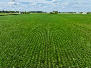Property photo 1 - FARMLAND AUCTION - 53.8+/-ACRES OFFERED IN 3 TRACTS IN ADAMS COUNTY, INDIANA