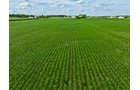 Property photo 1 - FARMLAND AUCTION - 53.8+/-ACRES OFFERED IN 3 TRACTS IN ADAMS COUNTY, INDIANA