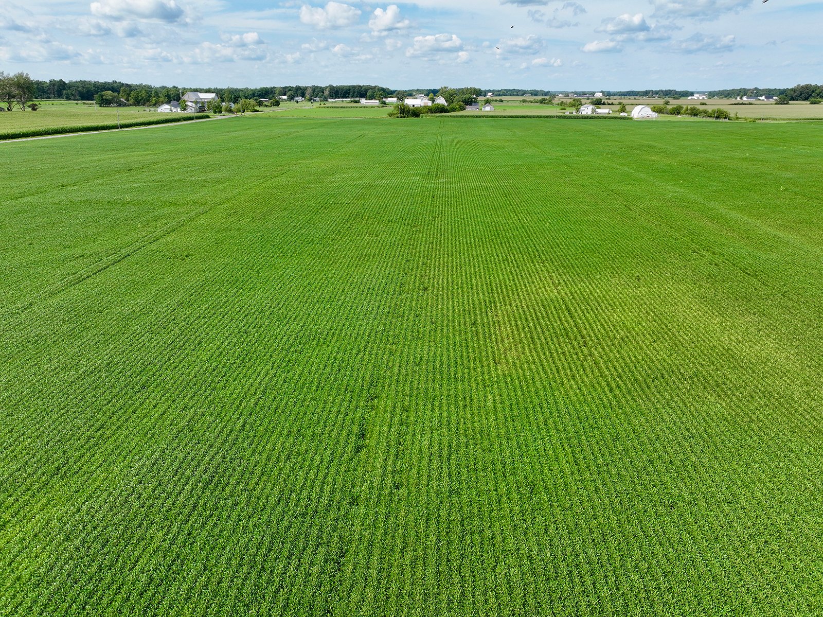 Property photo 4 - FARMLAND AUCTION - 53.8+/-ACRES OFFERED IN 3 TRACTS IN ADAMS COUNTY, INDIANA