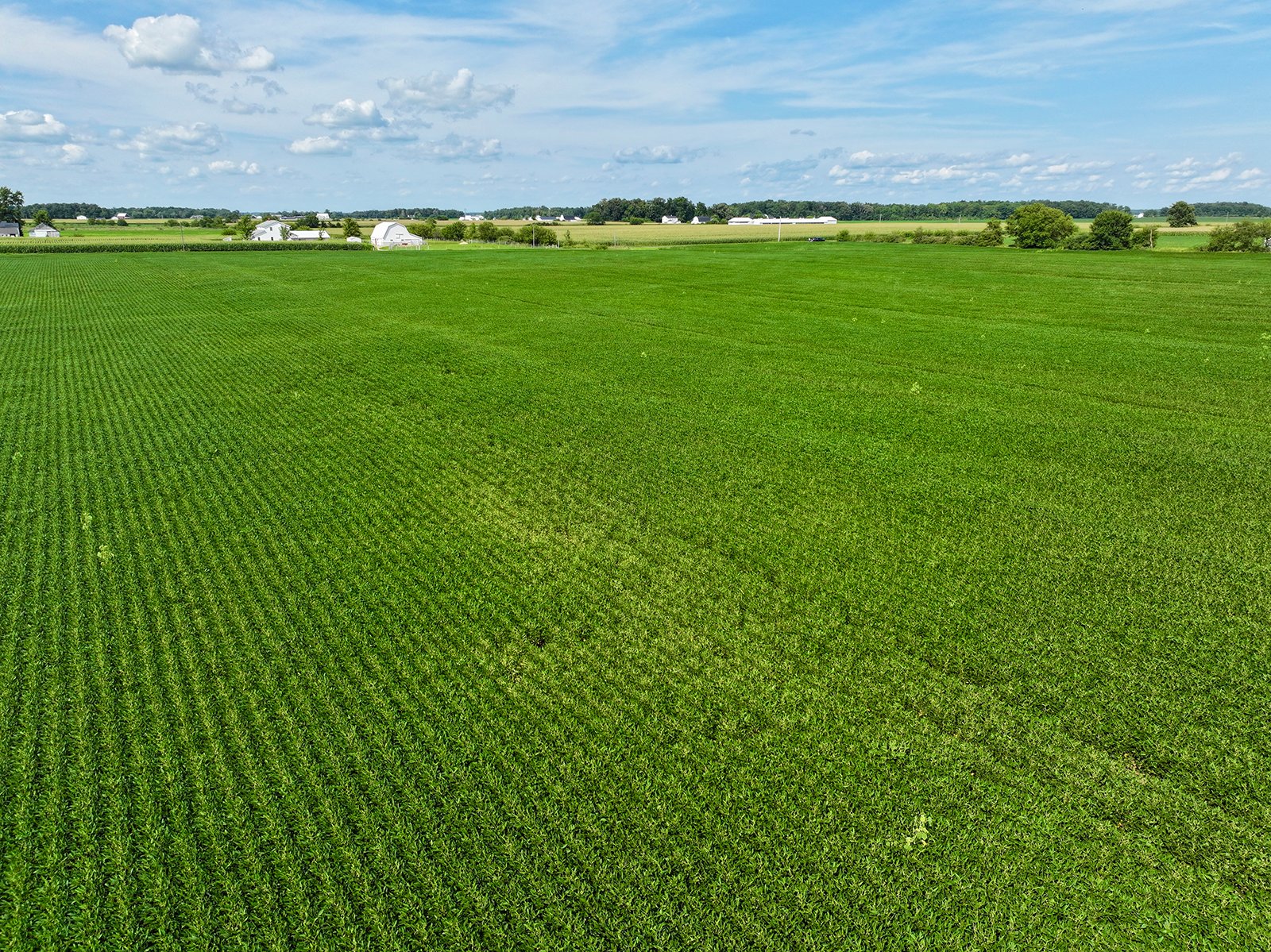 Property photo 5 - FARMLAND AUCTION - 53.8+/-ACRES OFFERED IN 3 TRACTS IN ADAMS COUNTY, INDIANA