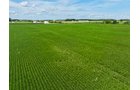 Property photo 5 - FARMLAND AUCTION - 53.8+/-ACRES OFFERED IN 3 TRACTS IN ADAMS COUNTY, INDIANA