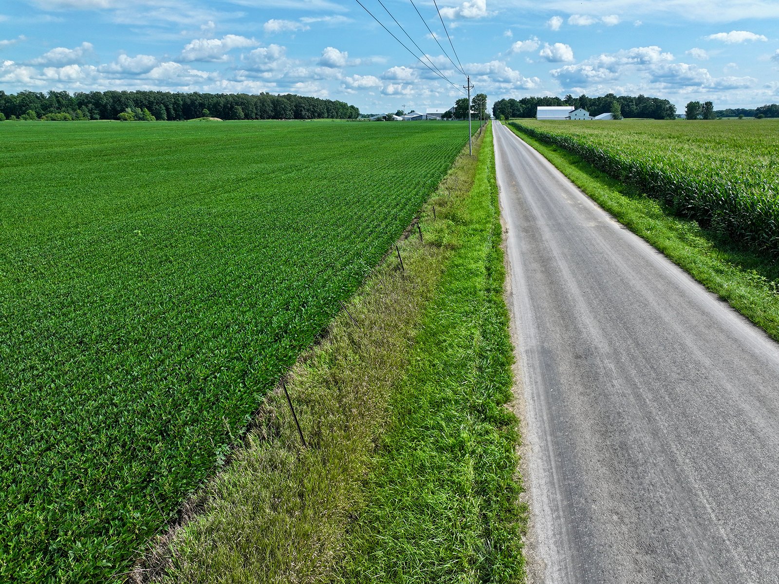 Property photo 6 - FARMLAND AUCTION - 53.8+/-ACRES OFFERED IN 3 TRACTS IN ADAMS COUNTY, INDIANA