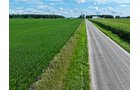 Property photo 6 - FARMLAND AUCTION - 53.8+/-ACRES OFFERED IN 3 TRACTS IN ADAMS COUNTY, INDIANA