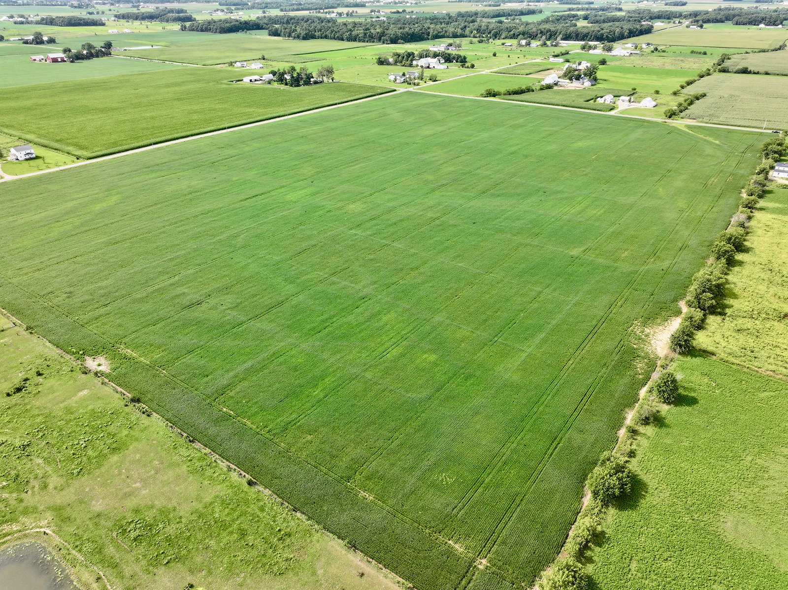 Property photo 9 - FARMLAND AUCTION - 53.8+/-ACRES OFFERED IN 3 TRACTS IN ADAMS COUNTY, INDIANA