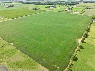 Property photo 9 - FARMLAND AUCTION - 53.8+/-ACRES OFFERED IN 3 TRACTS IN ADAMS COUNTY, INDIANA