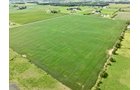 Property photo 9 - FARMLAND AUCTION - 53.8+/-ACRES OFFERED IN 3 TRACTS IN ADAMS COUNTY, INDIANA
