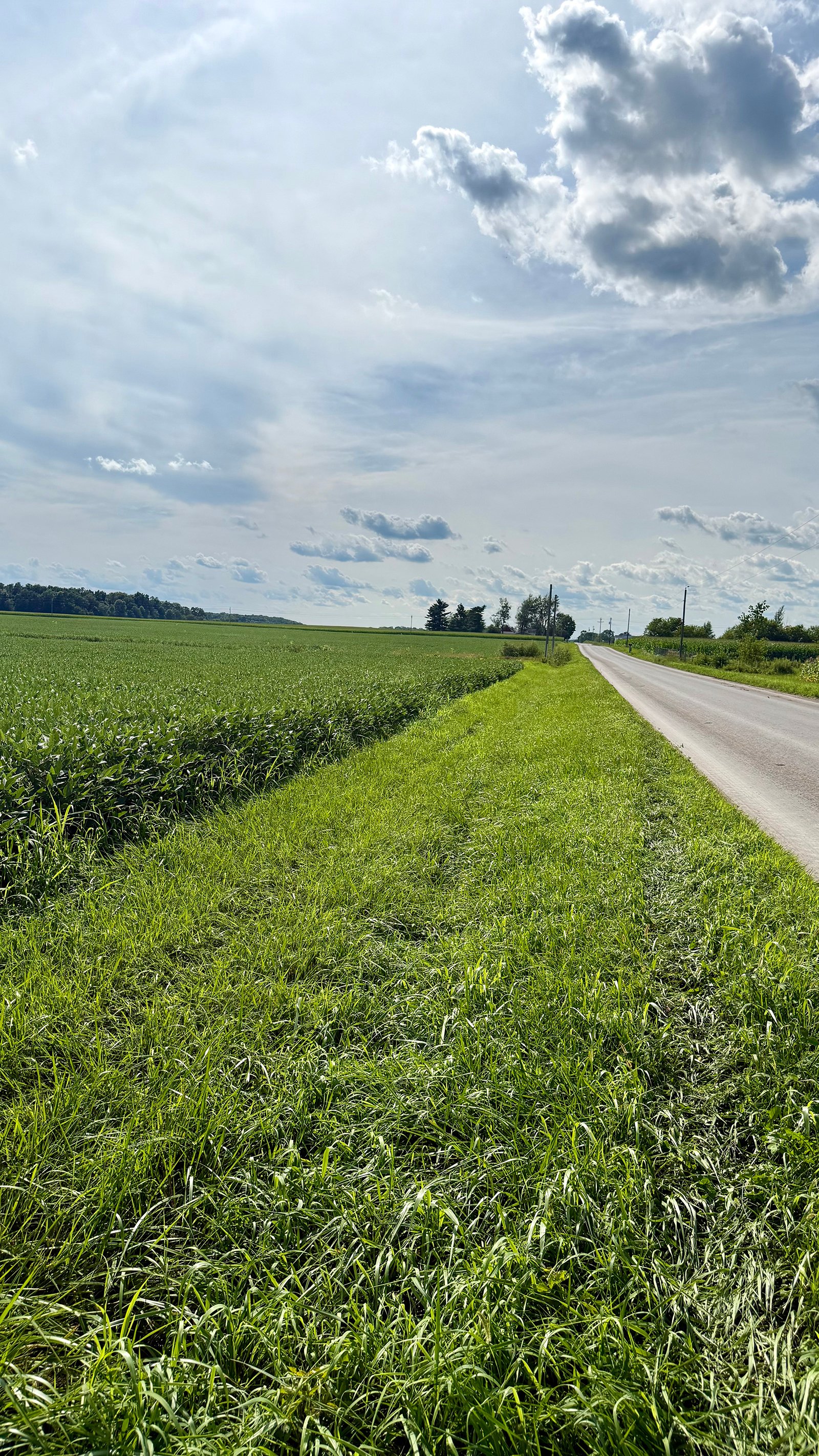 Property photo 10 - FARMLAND AUCTION - 53.8+/-ACRES OFFERED IN 3 TRACTS IN ADAMS COUNTY, INDIANA