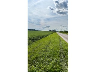 Property photo 10 - FARMLAND AUCTION - 53.8+/-ACRES OFFERED IN 3 TRACTS IN ADAMS COUNTY, INDIANA