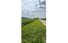 Property photo 10 - FARMLAND AUCTION - 53.8+/-ACRES OFFERED IN 3 TRACTS IN ADAMS COUNTY, INDIANA