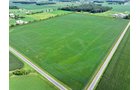 Property photo 13 - FARMLAND AUCTION - 53.8+/-ACRES OFFERED IN 3 TRACTS IN ADAMS COUNTY, INDIANA