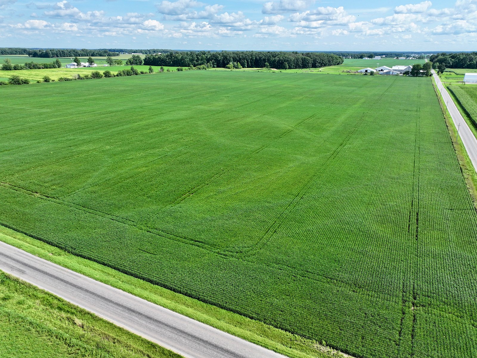 Property photo 14 - FARMLAND AUCTION - 53.8+/-ACRES OFFERED IN 3 TRACTS IN ADAMS COUNTY, INDIANA