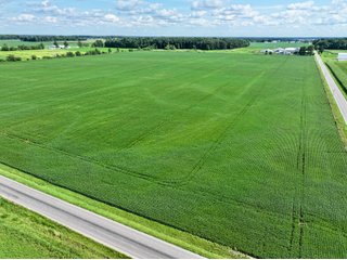 Property photo 14 - FARMLAND AUCTION - 53.8+/-ACRES OFFERED IN 3 TRACTS IN ADAMS COUNTY, INDIANA