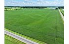 Property photo 14 - FARMLAND AUCTION - 53.8+/-ACRES OFFERED IN 3 TRACTS IN ADAMS COUNTY, INDIANA