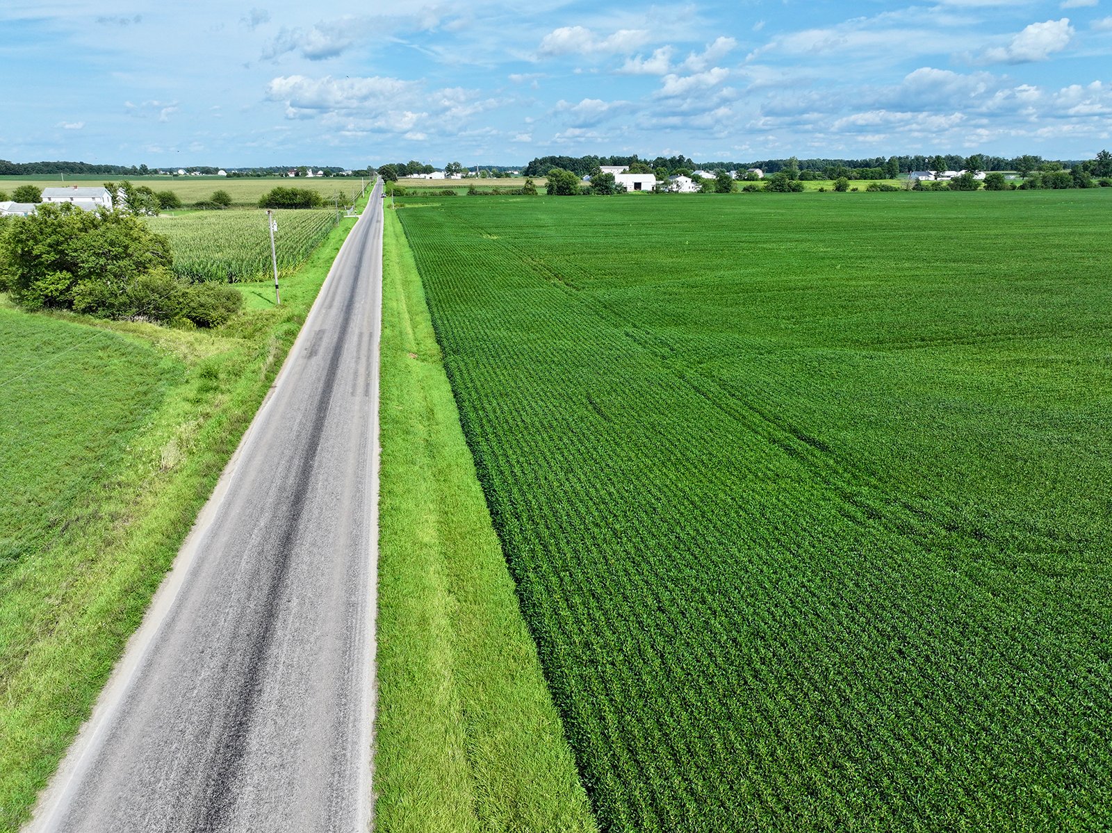 Property photo 19 - FARMLAND AUCTION - 53.8+/-ACRES OFFERED IN 3 TRACTS IN ADAMS COUNTY, INDIANA