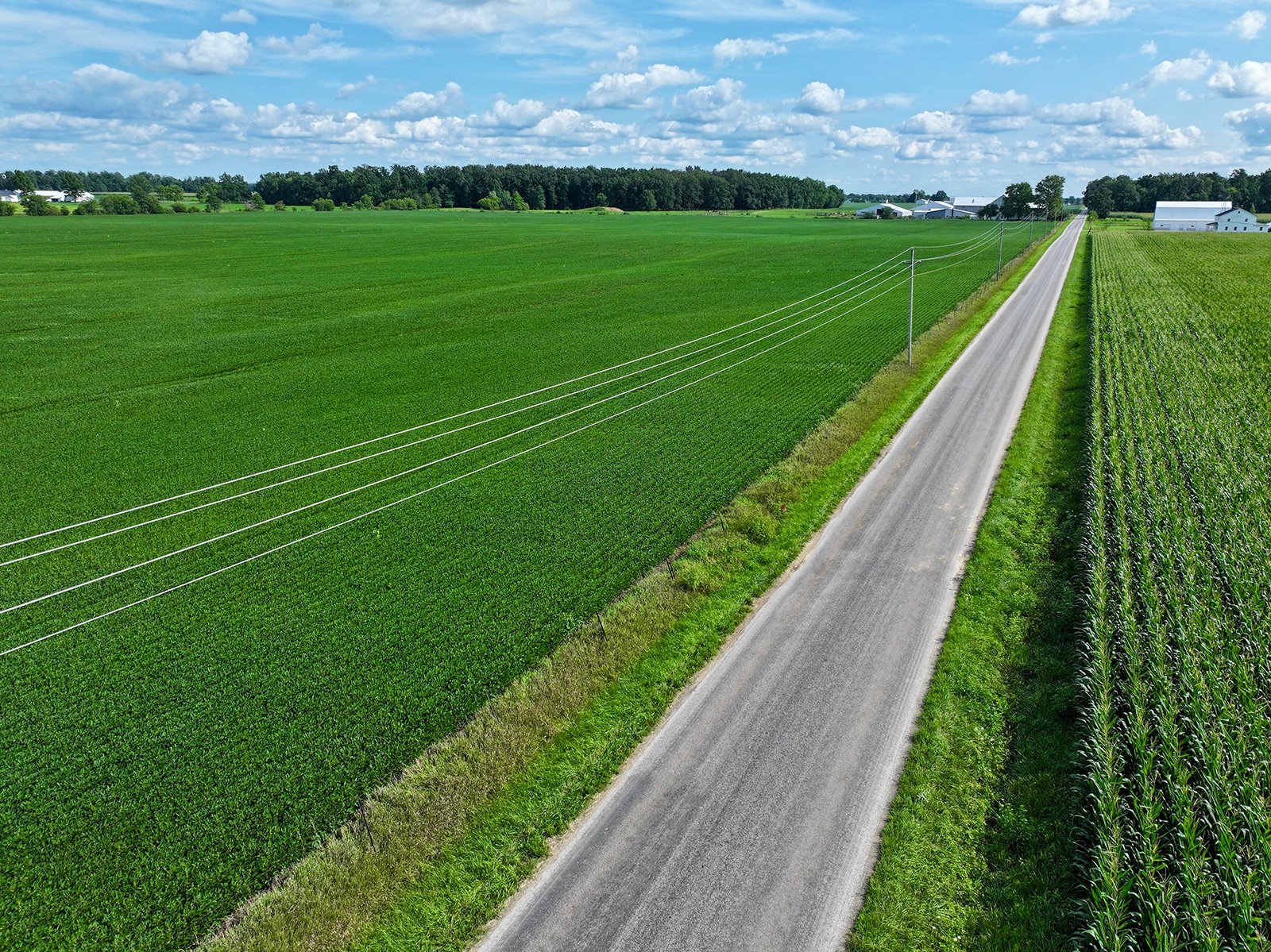Property photo 18 - FARMLAND AUCTION - 53.8+/-ACRES OFFERED IN 3 TRACTS IN ADAMS COUNTY, INDIANA