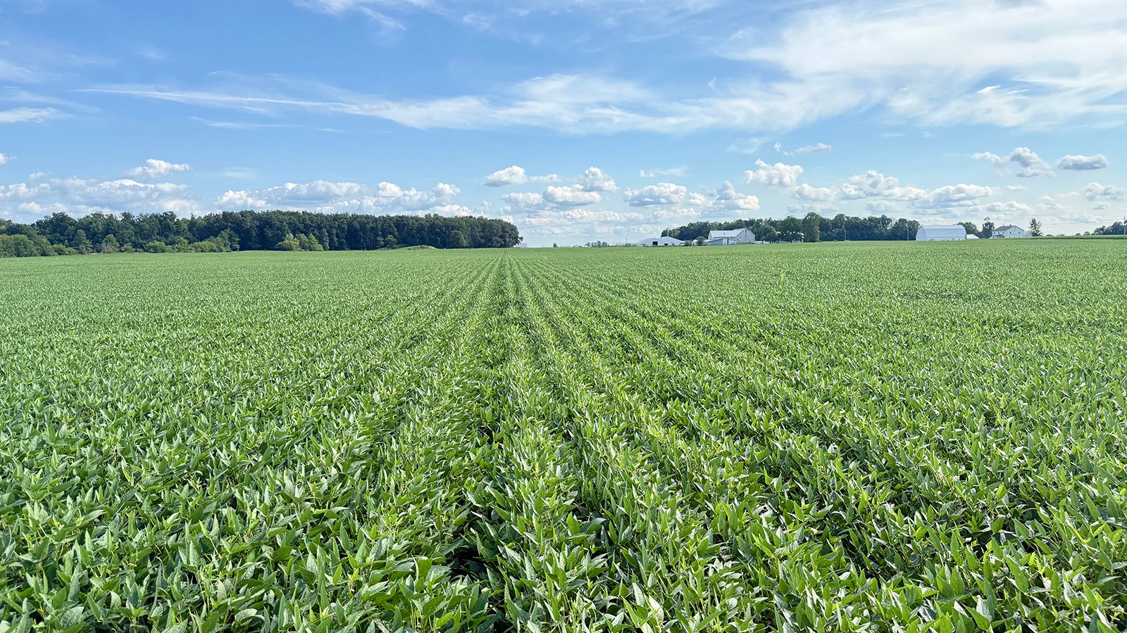 Property photo 15 - FARMLAND AUCTION - 53.8+/-ACRES OFFERED IN 3 TRACTS IN ADAMS COUNTY, INDIANA