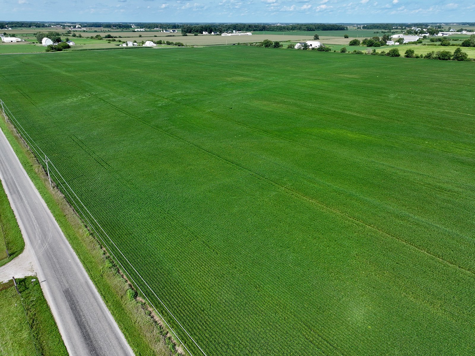 Property photo 21 - FARMLAND AUCTION - 53.8+/-ACRES OFFERED IN 3 TRACTS IN ADAMS COUNTY, INDIANA