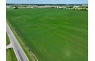 Property photo 21 - FARMLAND AUCTION - 53.8+/-ACRES OFFERED IN 3 TRACTS IN ADAMS COUNTY, INDIANA