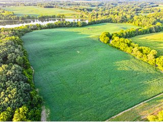 Property photo 3 - LAKE FRONT PROPERTY AUCTION - 36.45+/-ACRES OFFERED IN 3 TRACTS IN NOBLE COUNTY, INDIANA