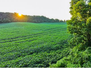 Property photo 15 - LAKE FRONT PROPERTY AUCTION - 36.45+/-ACRES OFFERED IN 3 TRACTS IN NOBLE COUNTY, INDIANA
