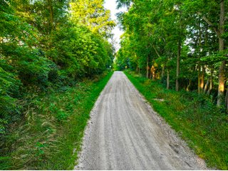 Property photo 19 - LAKE FRONT PROPERTY AUCTION - 36.45+/-ACRES OFFERED IN 3 TRACTS IN NOBLE COUNTY, INDIANA