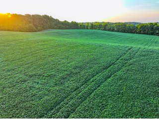 Property photo 16 - LAKE FRONT PROPERTY AUCTION - 36.45+/-ACRES OFFERED IN 3 TRACTS IN NOBLE COUNTY, INDIANA