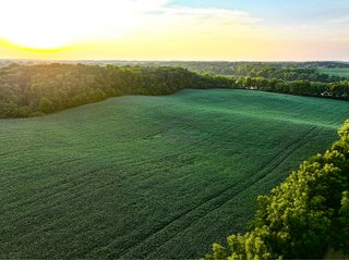 Property photo 14 - LAKE FRONT PROPERTY AUCTION - 36.45+/-ACRES OFFERED IN 3 TRACTS IN NOBLE COUNTY, INDIANA